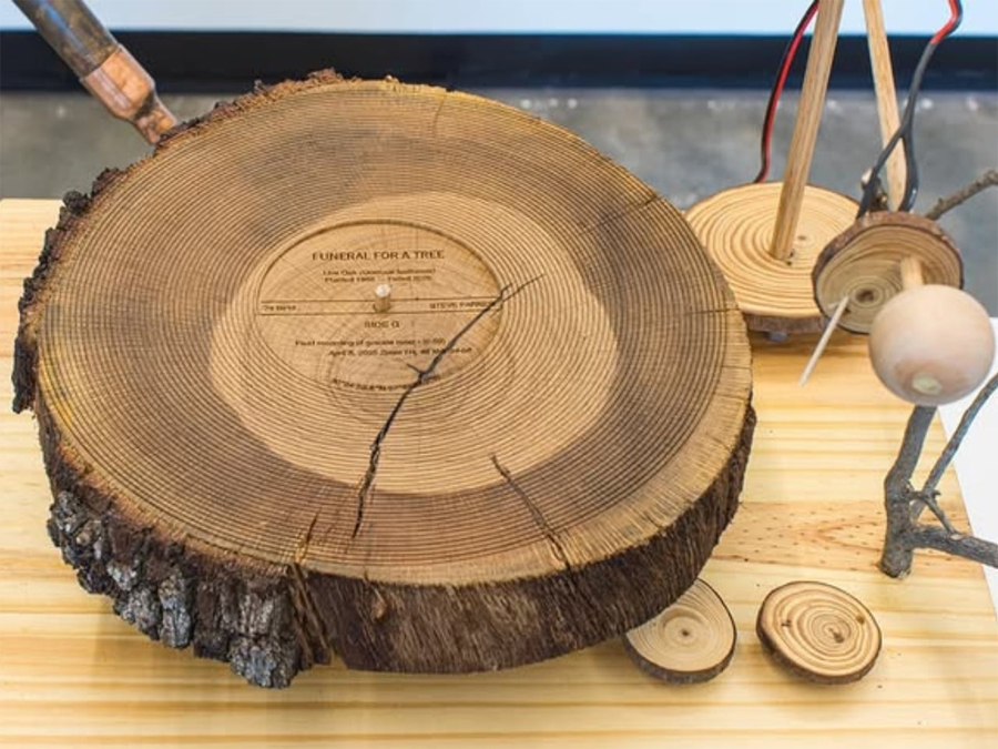 An Artist Turned a Dead Oak into Records of Birdsong
