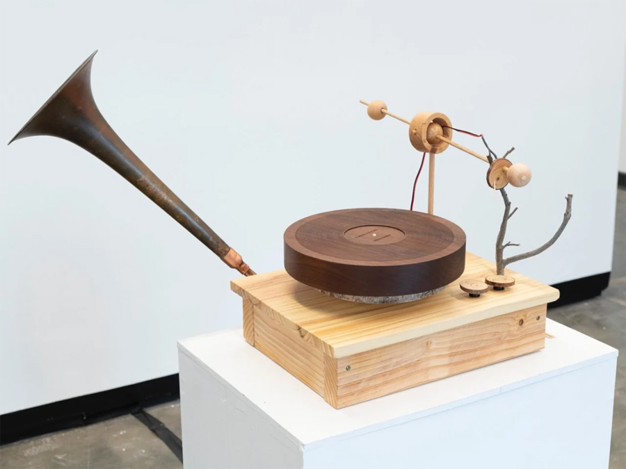 An Artist Turned a Dead Oak into Records of Birdsong