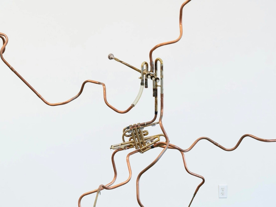 An Artist Turned a Dead Oak into Records of Birdsong