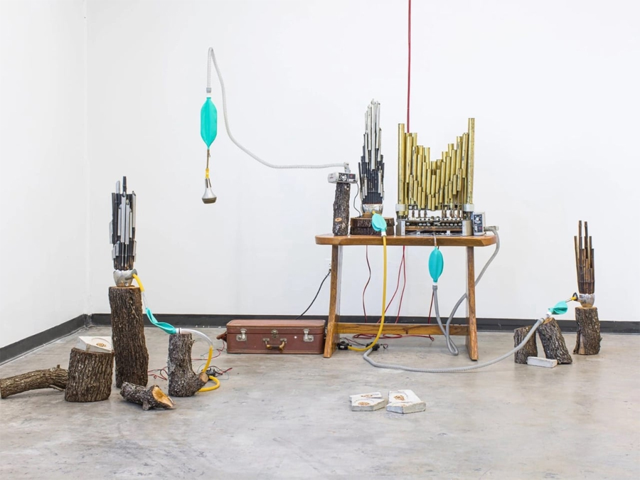 An Artist Turned a Dead Oak into Records of Birdsong