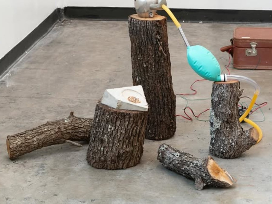 An Artist Turned a Dead Oak into Records of Birdsong