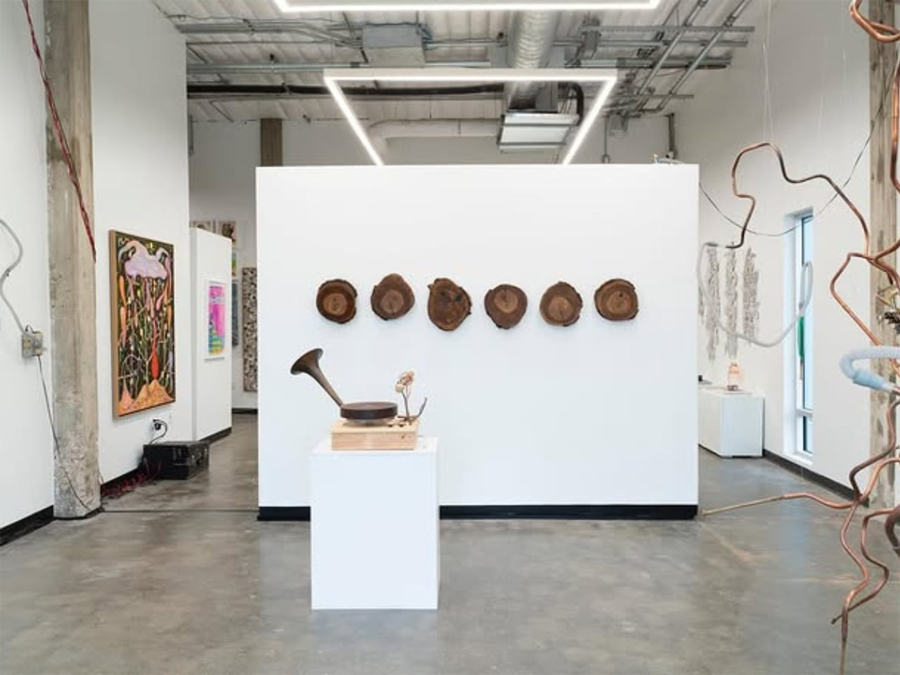 An Artist Turned a Dead Oak into Records of Birdsong