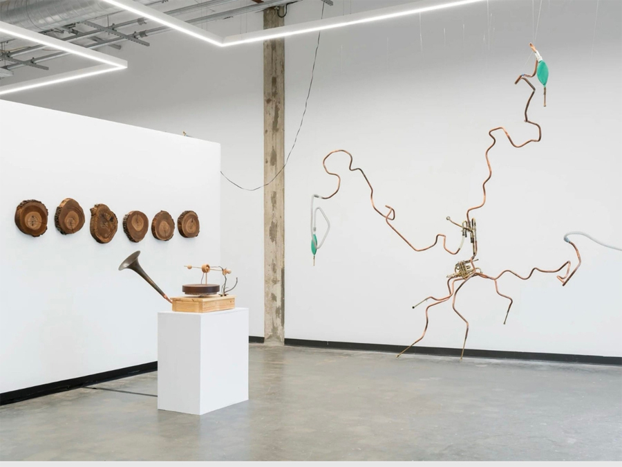 An Artist Turned a Dead Oak into Records of Birdsong