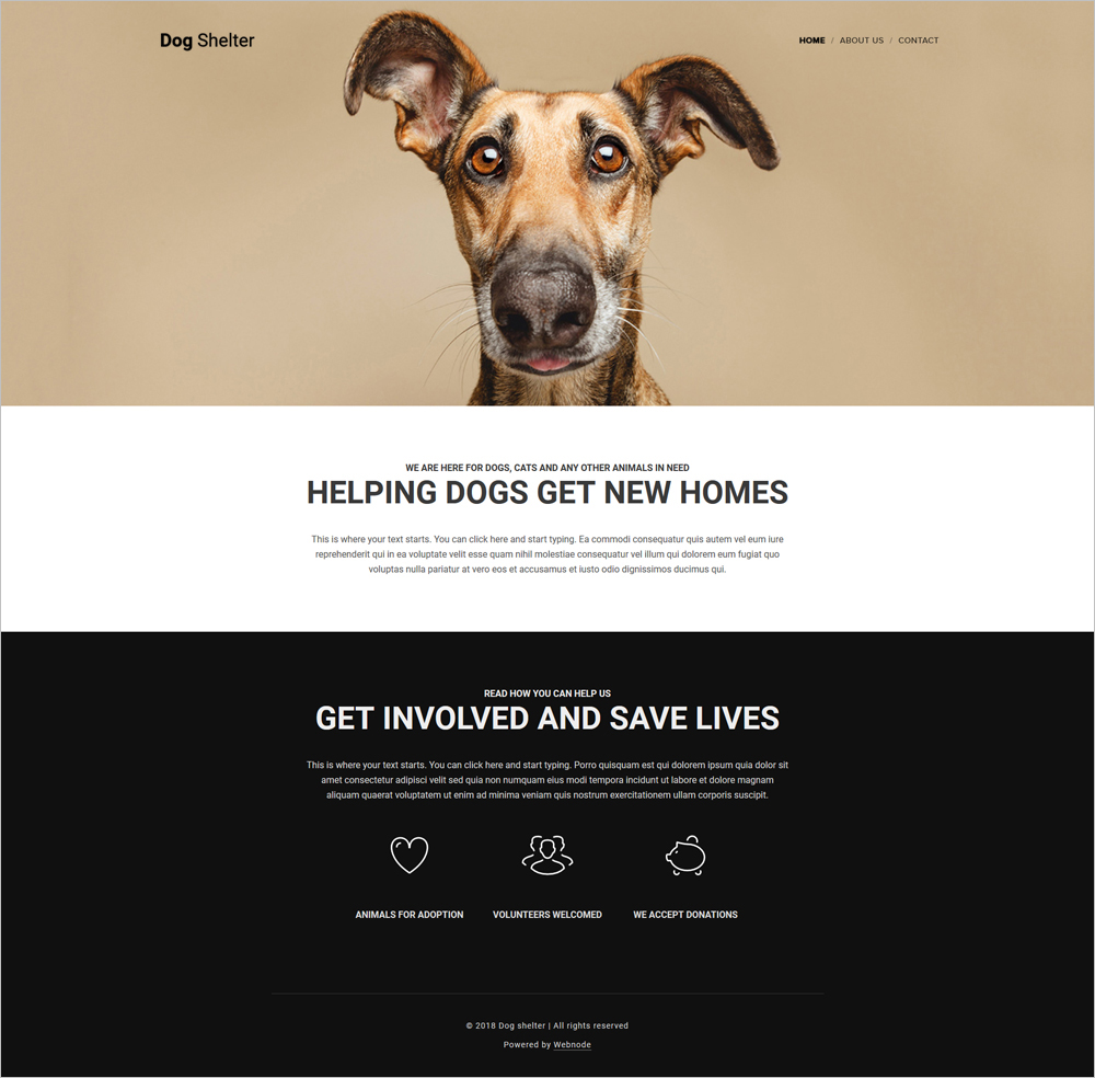 Free Dog Shelter Template