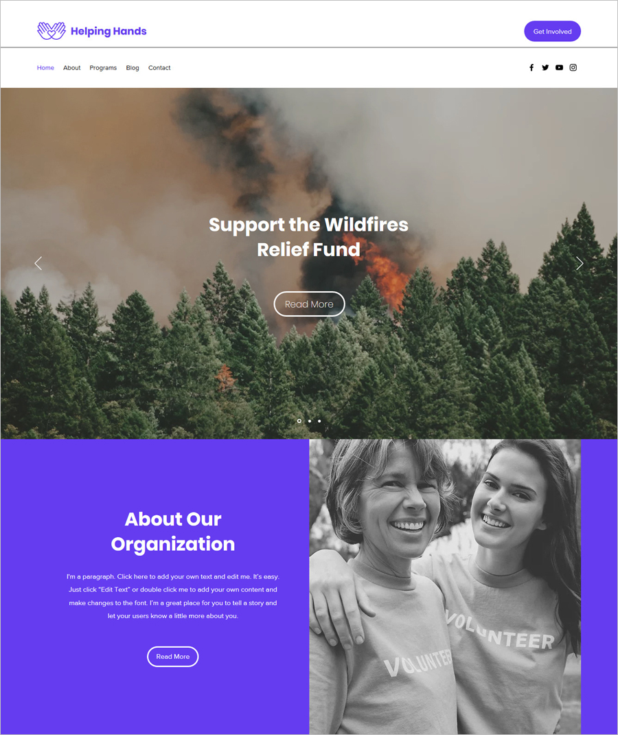 Free Disaster Relief Organization Website Template