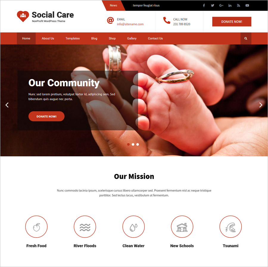 Free Social Care Lite WordPress Theme