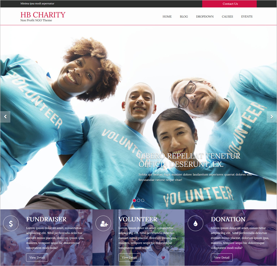 Free HB Charity WordPress Theme