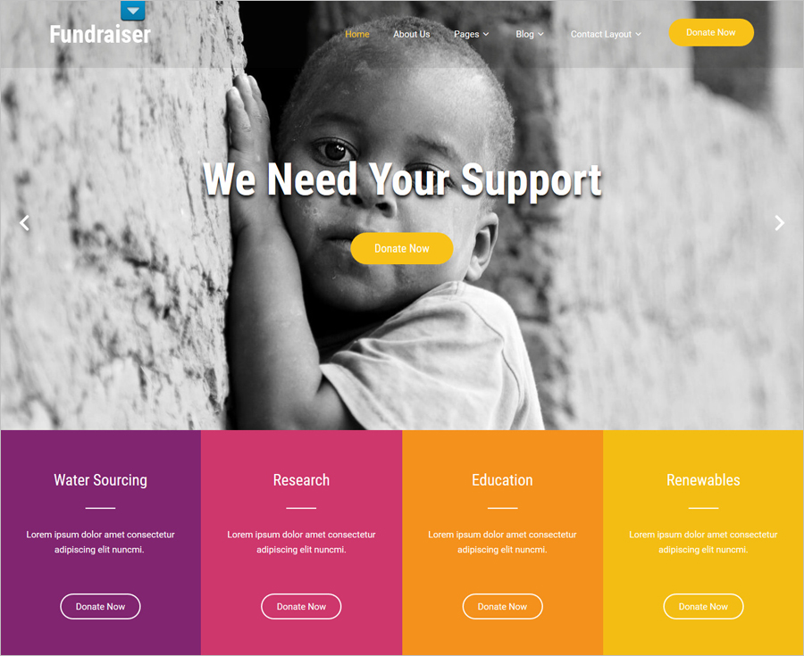 Free Fundraiser Lite WordPress Theme