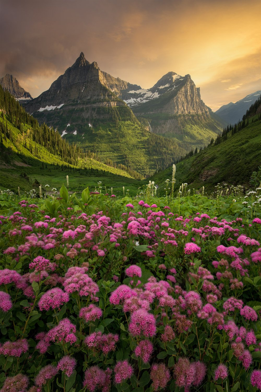 Glacier National Park photos