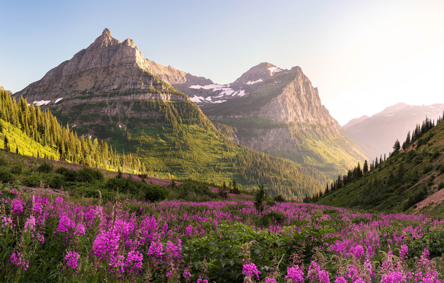 Glacier National Park in spring