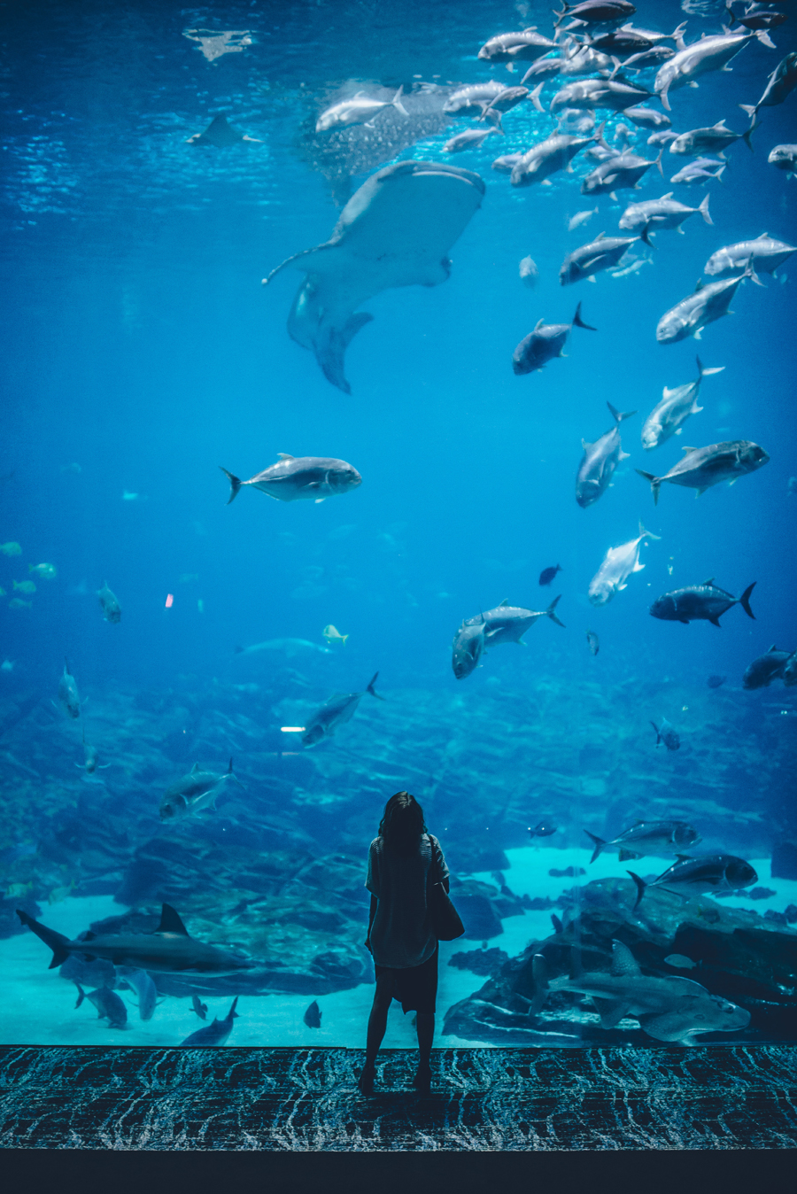 Osaka Aquarium Kaiyukan