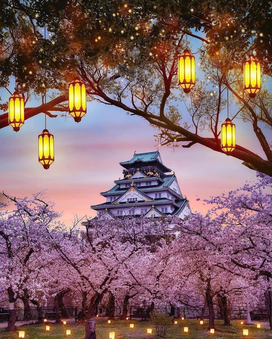 10 Must Visit Places to Capture the Essence of Japan