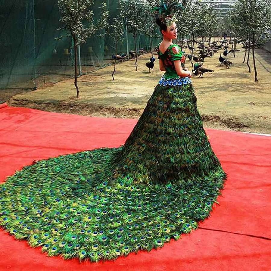 Vera Wang Peacock Wedding Gown