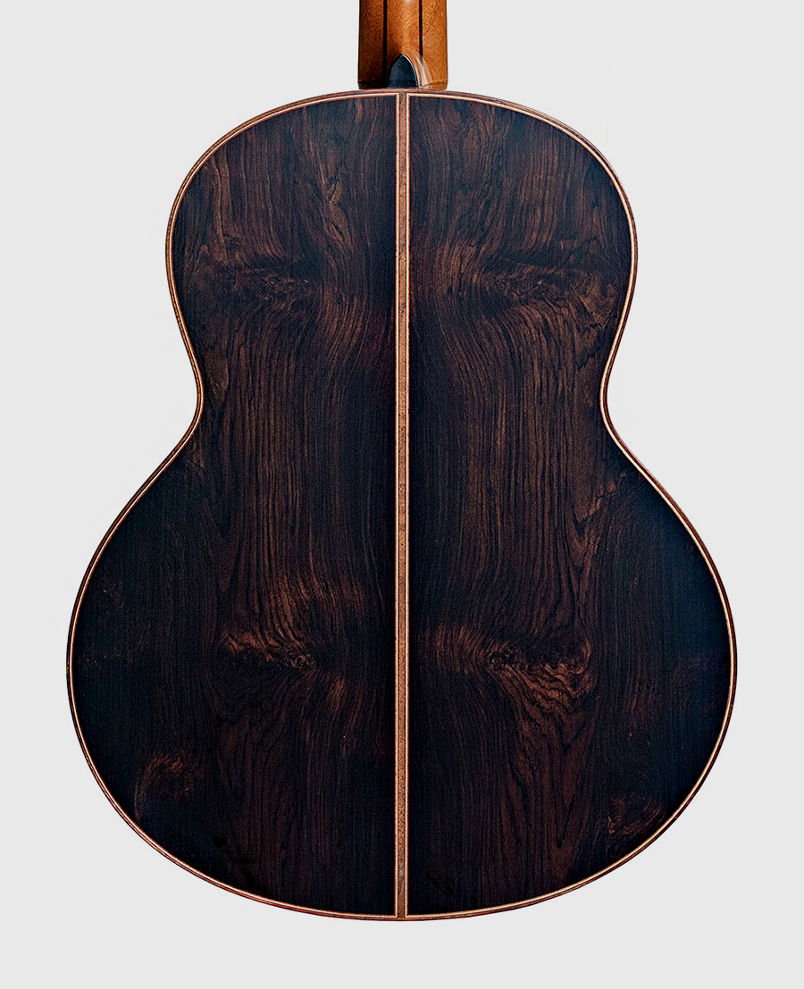 African Blackwood guitar