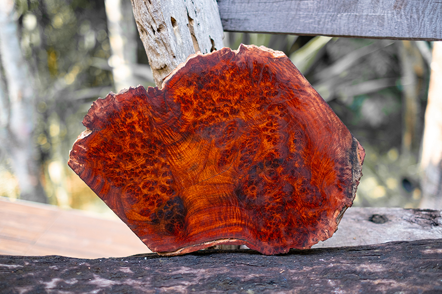 Amboyna Burl