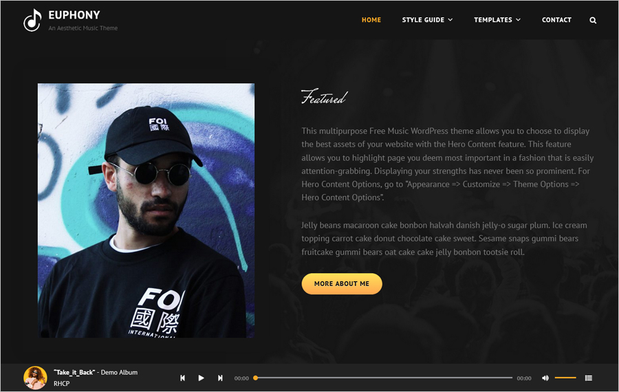 Free Euphony Music WordPress Theme