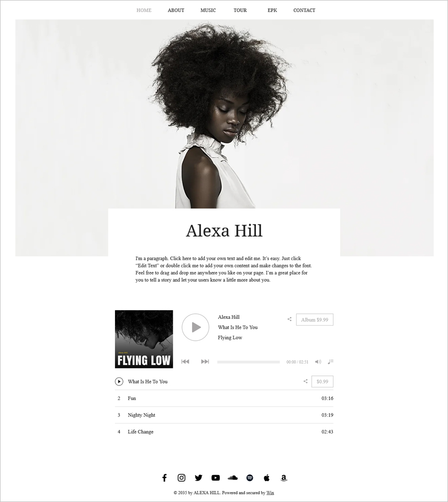 Free Musician Website Template