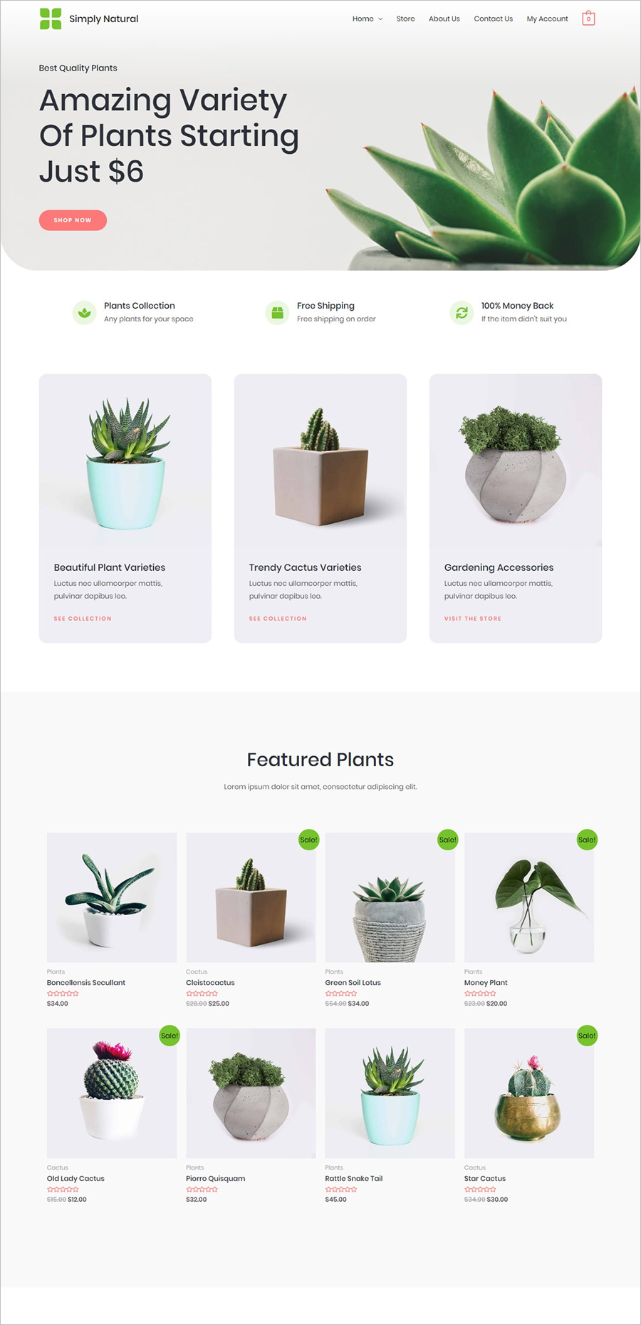 Simply Natural - Free Online Store WordPress Theme