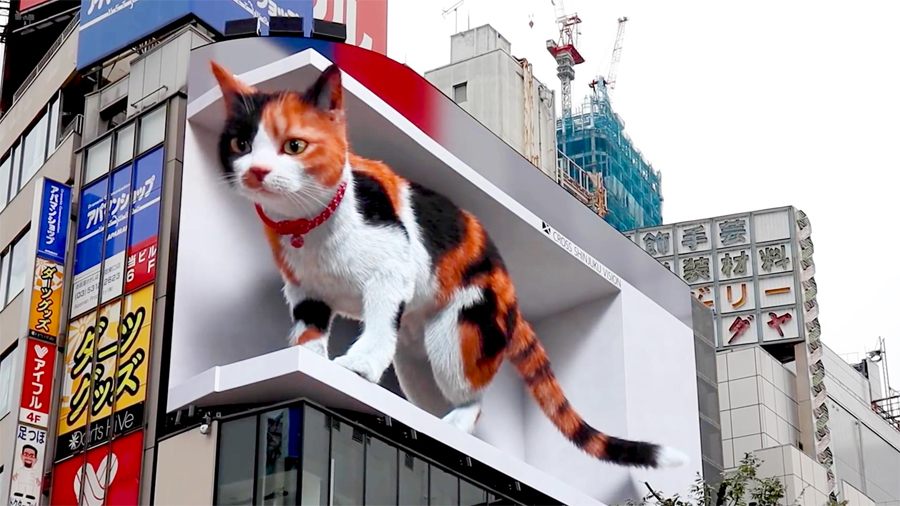 Shinjuku 3D Billboard: Calico Cat