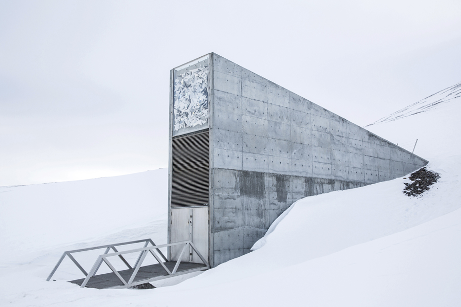 Top Arctic Experiences You Can Only Have in Svalbard