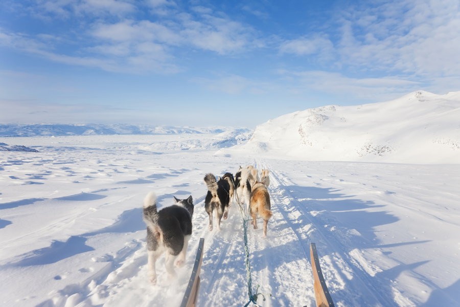 Top Arctic Experiences You Can Only Have in Svalbard