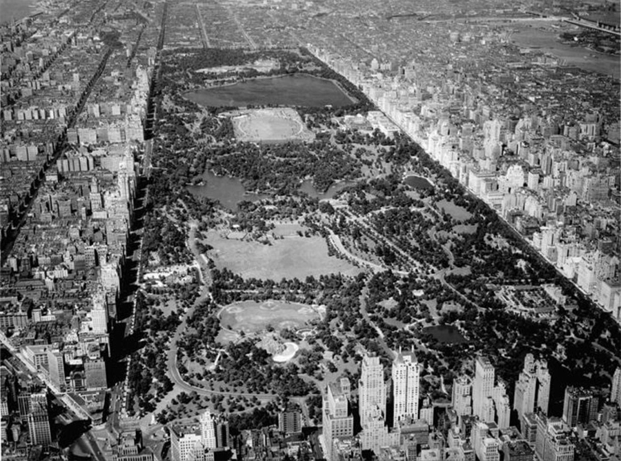 Central Park View, New York